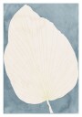 Illustration Of A Large Leaf Plakat Plakat / 70x100cm