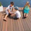 Easydeck ENDEKLIPS MEGAWOOD SORT STÅL 25STK