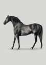 Black Horse Port. Drawing Plakat Plakat / 70x100cm