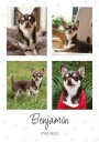 Pet Photo Collage Personal Plakat Plakat / 70x100cm