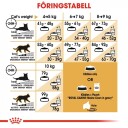 Royal Canin Maine Coon Adult Tørrfôr 20 kg Økonomipakke