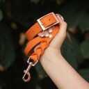 Tyylivoitto Classy Hundehalsbånd Stor Modell Mørk Oransje (L)