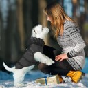 Sort Boblejakke Til Hund