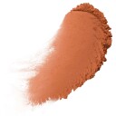 NYX PROFESSIONAL MAKEUP Wonder Snatch Powder 07 Cinnamon Catch