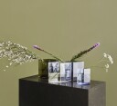 iittala Ruutu vase 20,5x18 cm mosegrønn