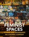 Whitson Risa Feminist Spaces