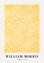 William Morris Larkspur 1874 Plakat Plakat / 30x40cm