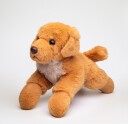 Hund Bamse Buster Golden Retriever | Hilda
