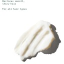 Aveda Brilliant Shine Boosting Conditioner 250 ml