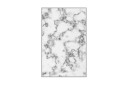 Hall Matte HMNT170  