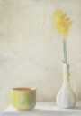Daffodils Plakat Plakat / 40x50cm