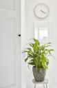 Habo Marble Krok Sort