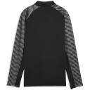 PUMA teamLIGA 26  Half Zip Treningstrøye Herre Svart L