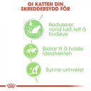 Royal Canin Digest Care Våtmat for Katter med Kylling og Ris - 12 x 85 g