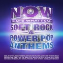 Diverse Artister  NOW That's What I Call Soft Rock & Power Pop Anthems  CD