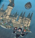 LEGO® Harry Potter T skjorte   LWTano 116   Dark Navy m. Galtvor   LEGO® Wear   9 år (134)   T skjorte   Blå