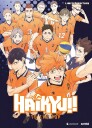 Haikyu!!  Sesong 4 Bluray