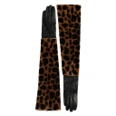 Dolce & Gabbana Dame Accessories Brun ONE SIZE,
