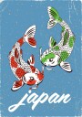 Japan Travel Koi Plakat Plakat / 40x50cm