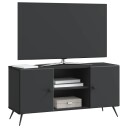  TV skap Svart 102 x 34,5 x 50 cm Konstruert tre
