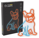 Manta Style Neonlampe Fransk Bulldog