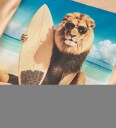 Name It T skjorte   NmmVoto   Peach Fuzz   Name It   1 år (80)   T skjorte Beige Oransje