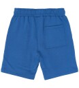 The New Tnrasmus Sweat Shorts Blue 146/152