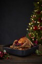 Scanpan  TechnIQ roaster 33x33 cm