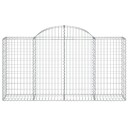 vidaXL Gabionkurver buede 2 stk 200x50x100/120 cm galvanisert jern