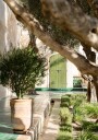 Le Jardin Secret Plakat Plakat / 100x150cm