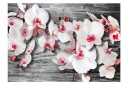 Fototapet Callous Orchids 200x140 - Artgeist sp. z o. o.