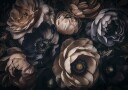 Elegant Dark Blooms Plakat / 40x50