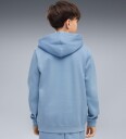 Puma Hettegenser   ESS Small nr. 1 Logo   Zen Blue   Puma   12 år (152)   Hettegenser   Lyseblå