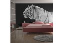 Fototapet Hvit Tiger 300x231 - Artgeist sp. z o. o.