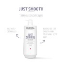 Goldwell Dualsenses Just Smooth Taming Conditioner 1000ml