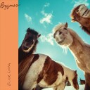 Silver Lining Bygones Vinyl
