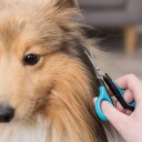 Trixie Saks til Ansikt og Poter 9 cm med Rund Tupp