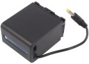 Cameron Sino Batteri til kamera for JVC GZ-HD620, GZ-HD620BAH, GZ-HM330 m.fl.