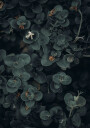 Dark And Green Botanical Plakat Plakat / 100x150cm