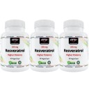 Dns 3-pack Resveratrol Higher Potency 3 x 30 kapsler