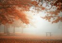 The wonders of nature Poster Plakat / 21x30cm