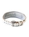 LEVITY Olympic Weight Lifting Belt Pro - M