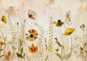 In the field... Plakat / 50x70