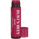 Burt's Bees Burts Bees Tinted Lip Balm Daisy 4.25 g