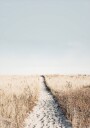 To The Beach Poster Plakat / 50x70cm