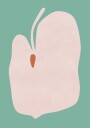 Pink Anthurium Flower Plakat Plakat / 30x40cm