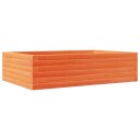 Plantekasse voksbrun 90x60x23 cm heltre furu