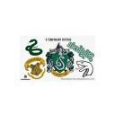 Harry Potter - Slytherin - Robe, Necktie and Tattoos - Kids
