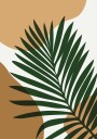 Palm Leaf Plakat Plakat / 100x150cm