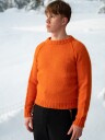 Dale Garn 463 09 Steingar Genser